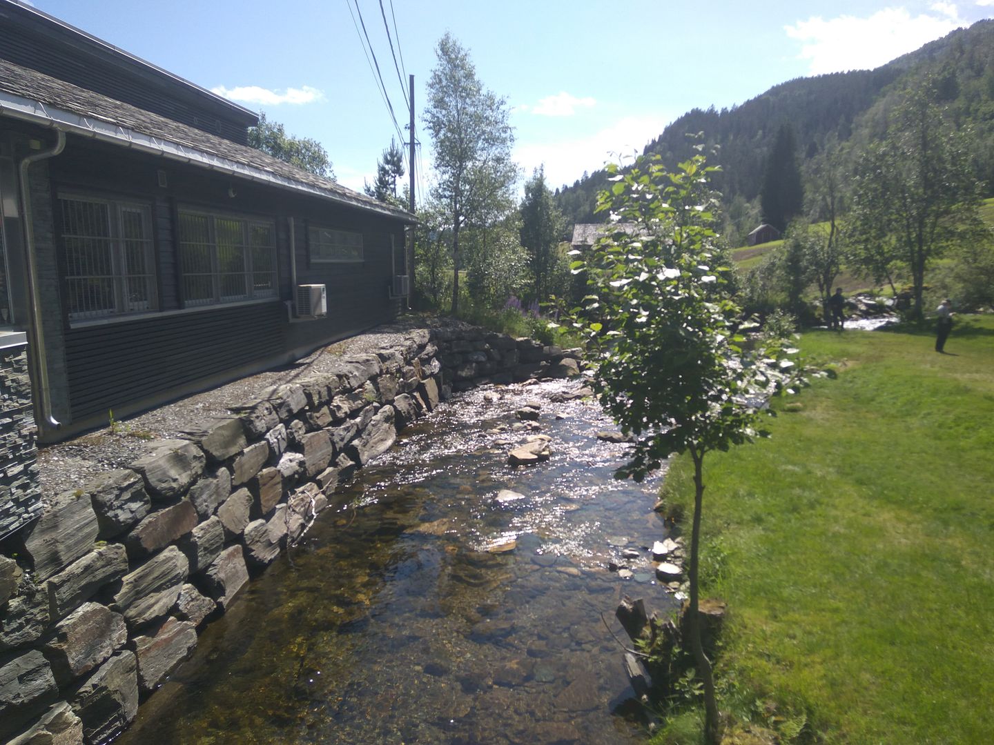 Norvegia - Calatorie Flam - Myrdal - Voss si retur cu autocarul IMG_20190628_144039_zpsjvq54frk