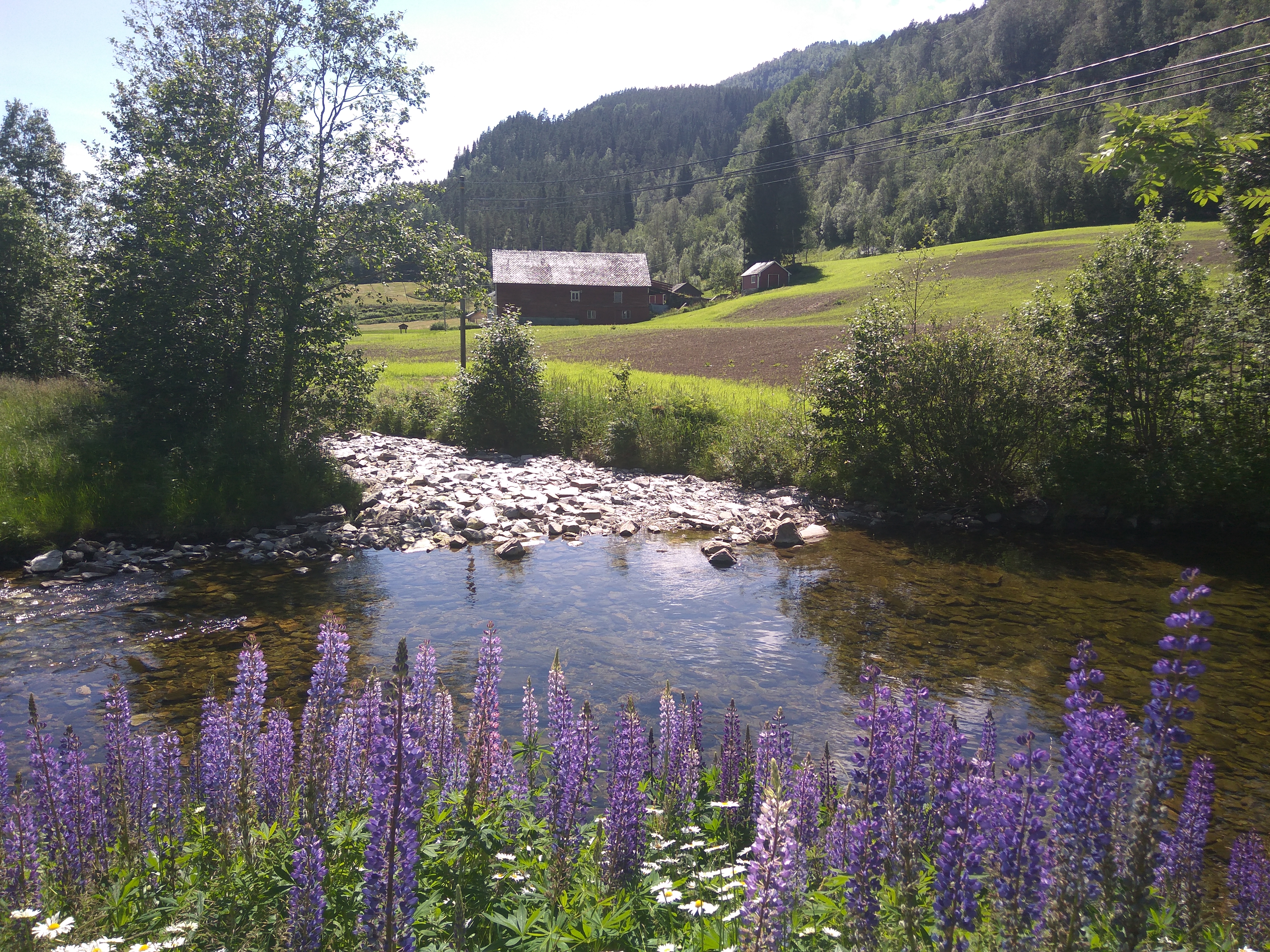 Norvegia - Calatorie Flam - Myrdal - Voss si retur cu autocarul IMG_20190628_144201_zpswxdmozrn