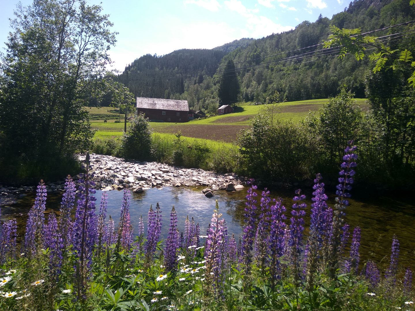 Norvegia - Calatorie Flam - Myrdal - Voss si retur cu autocarul IMG_20190628_144214_HDR_zps8433mua6