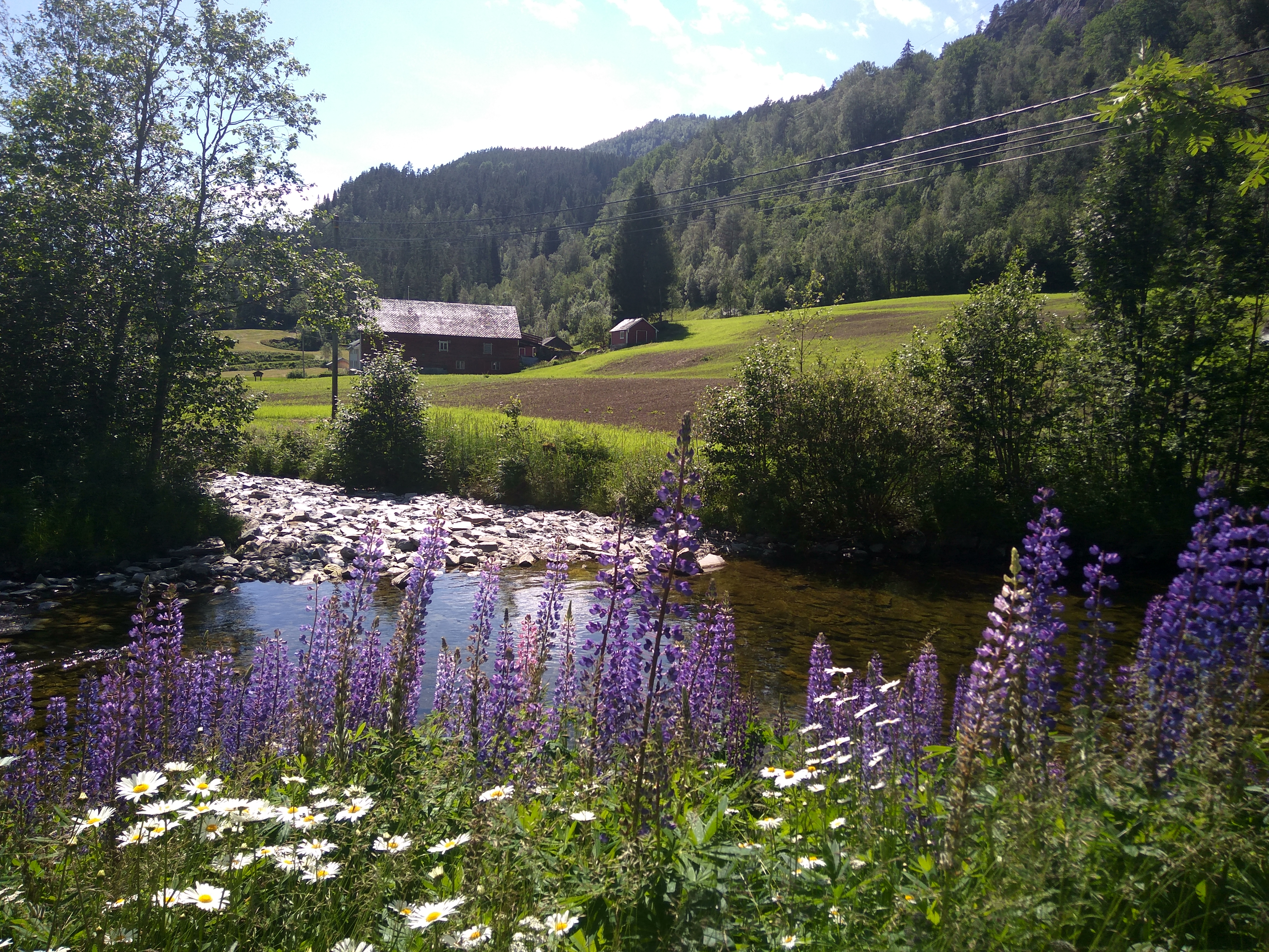 Norvegia - Calatorie Flam - Myrdal - Voss si retur cu autocarul IMG_20190628_144232_HDR_zps5c1rkxam