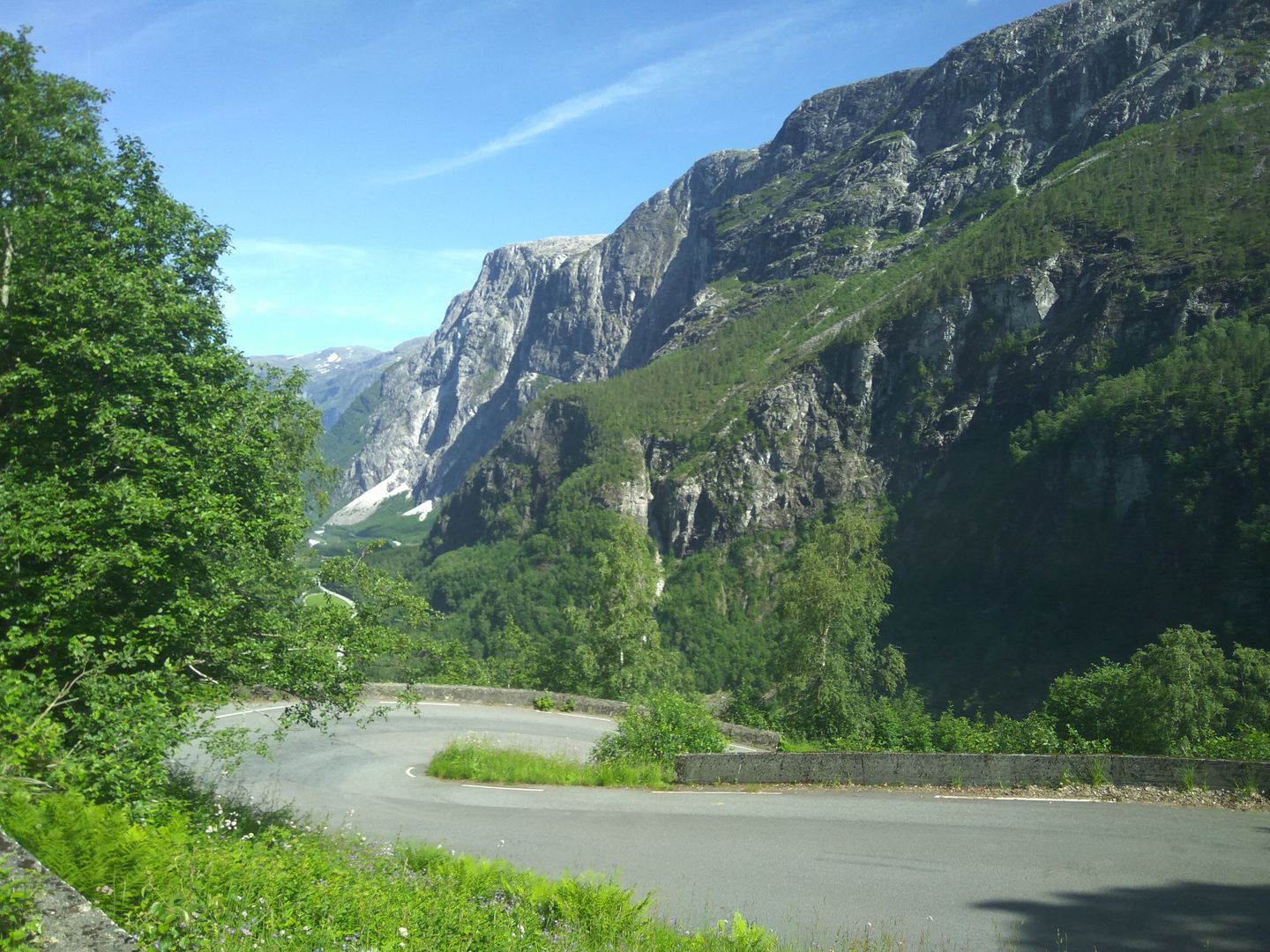 Norvegia - Calatorie Flam - Myrdal - Voss si retur cu autocarul IMG_20190628_152431_zps3et9ykjl