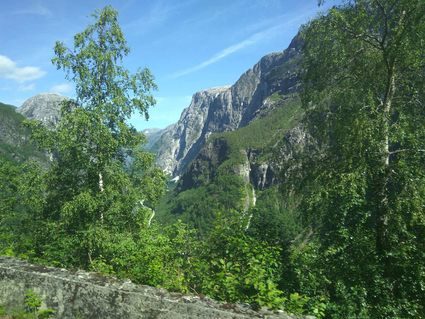 Norvegia - Calatorie Flam - Myrdal - Voss si retur cu autocarul IMG_20190628_152506_zpsbiltagv0