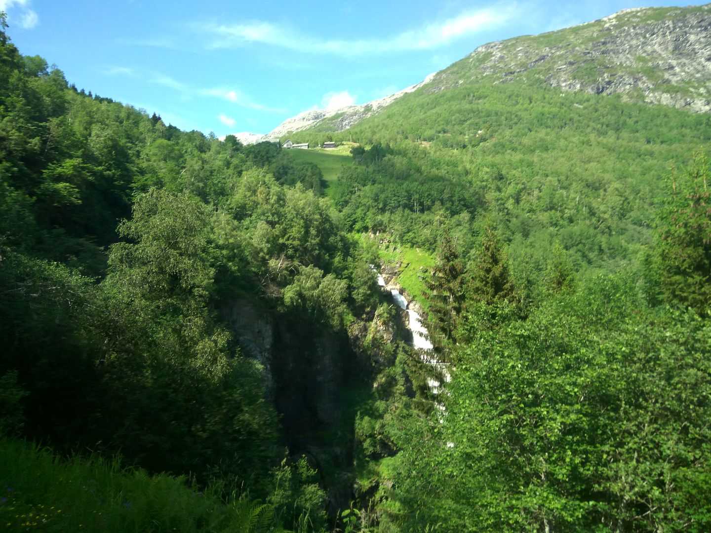 Norvegia - Calatorie Flam - Myrdal - Voss si retur cu autocarul IMG_20190628_152721_HDR_zpsazq0ks6u