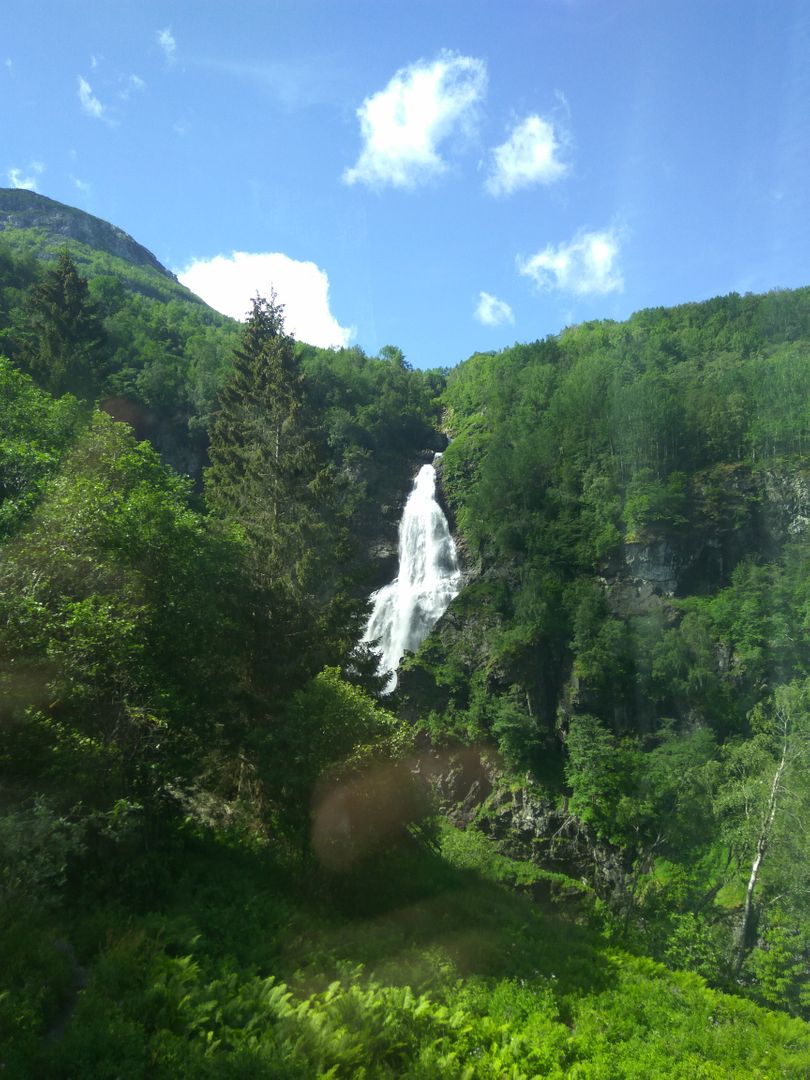 Norvegia - Calatorie Flam - Myrdal - Voss si retur cu autocarul IMG_20190628_153125_zps9oqf1txq