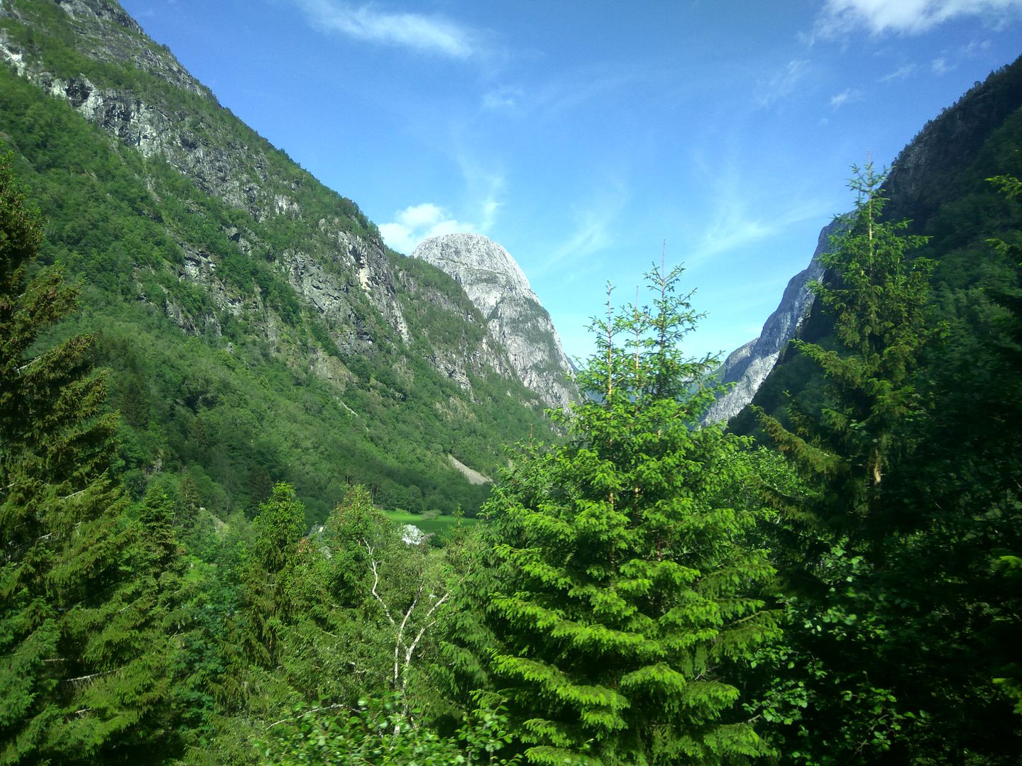 Norvegia - Calatorie Flam - Myrdal - Voss si retur cu autocarul IMG_20190628_153305_HDR_zpszdbm0kcr