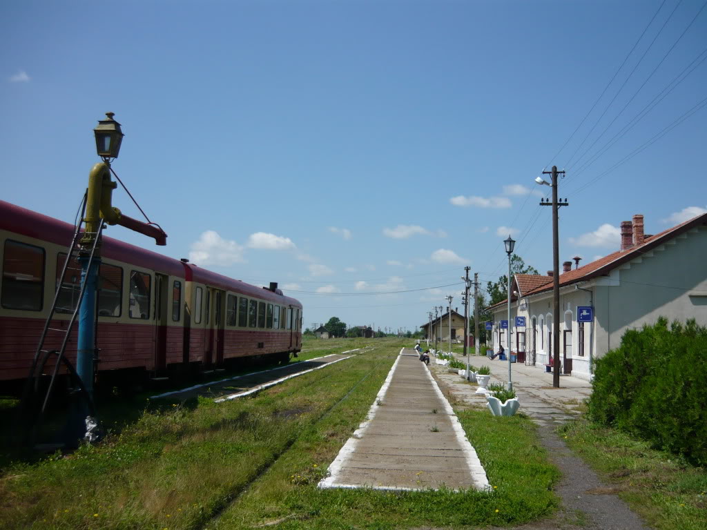 218 : Timisoara Nord - Biled - Lovrin - Cenad - Pagina 2 P1090517