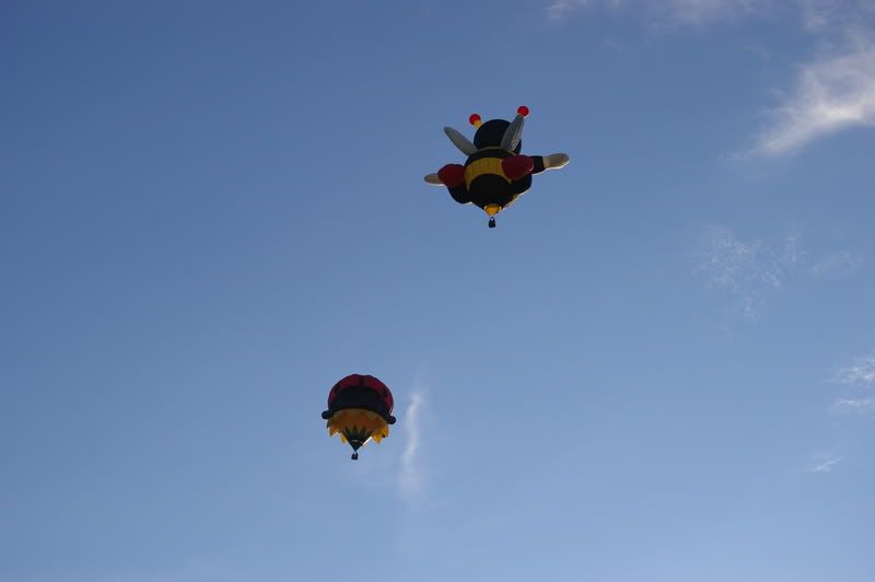 Un petit tour de ballon... AaIMGP4502