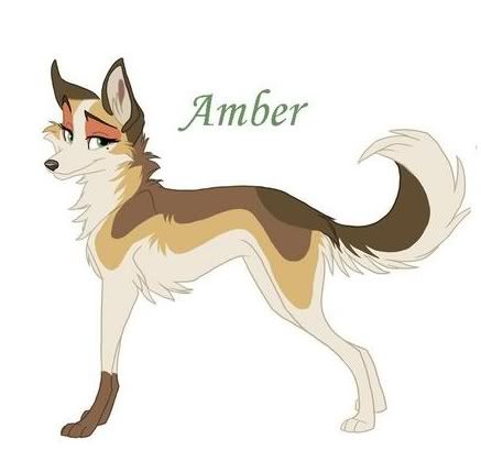 Wolf Pack (Any one can join but i need pack members) - Page 2 Amber