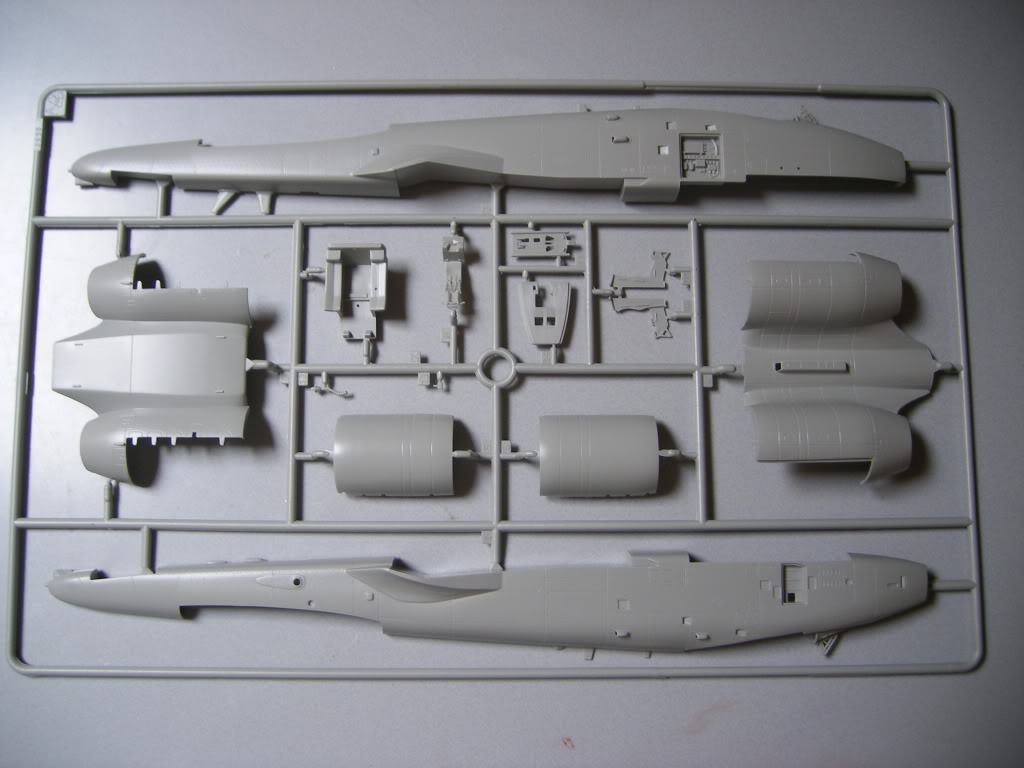 A-10A Thunderbolt II, Italeri , 1/48, ref 2655. DSCF3258