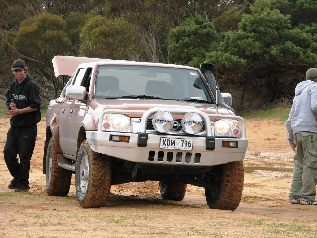 my stable of cars :) and 2 horses! Goose1