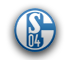 Premier Stars League Schalke04-4