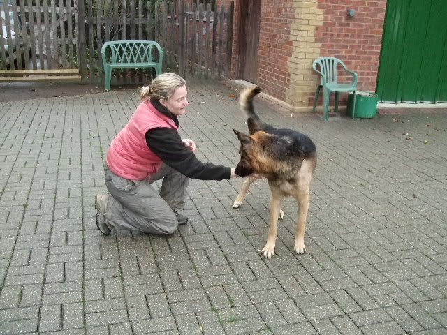 Ben approx 4yr old homed DSCF7896