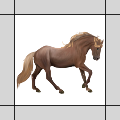 My Horse Graphics ProudtoBe