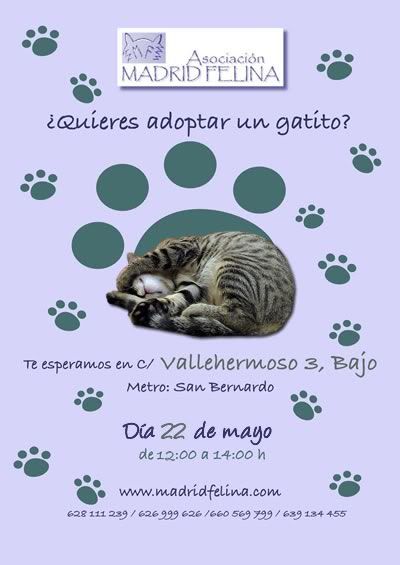 Día de la Adopción Madrid Felina. Sábado 22 de mayo. Madrid Cartel_Dia_Adopcion_20100522