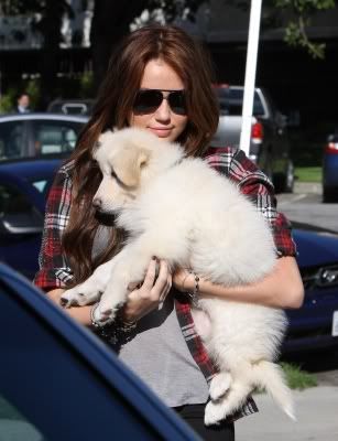 Miley Cyrus - Page 14 Normal_67493_Preppie_-_Miley_Cyrus_out_and_about_in_Toluca_Lake_-_Jan__23_2010_253_122_750lo