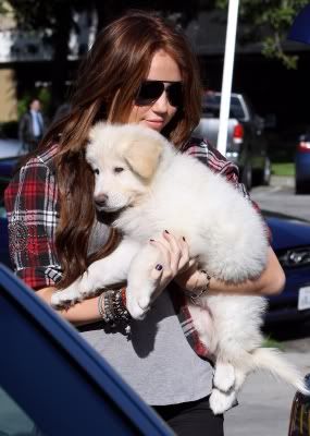 Miley Cyrus - Page 14 Normal_67579_Preppie_-_Miley_Cyrus_out_and_about_in_Toluca_Lake_-_Jan__23_2010_365_122_195lo