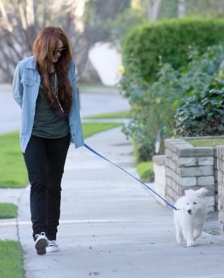 Miley Cyrus - Page 14 Normal_89036_Preppie_-_Miley_Cyrus_walking_her_dog_in_Toluca_Lake_-_Jan__27_2010_7_122_588lo