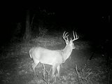 Hit list bucks Th_0223