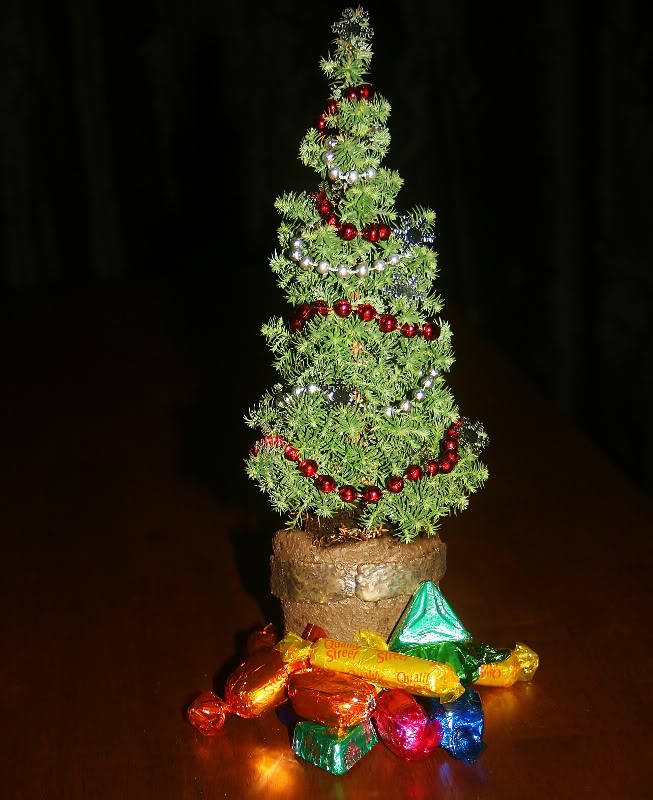  a Christmas tree 004653x800