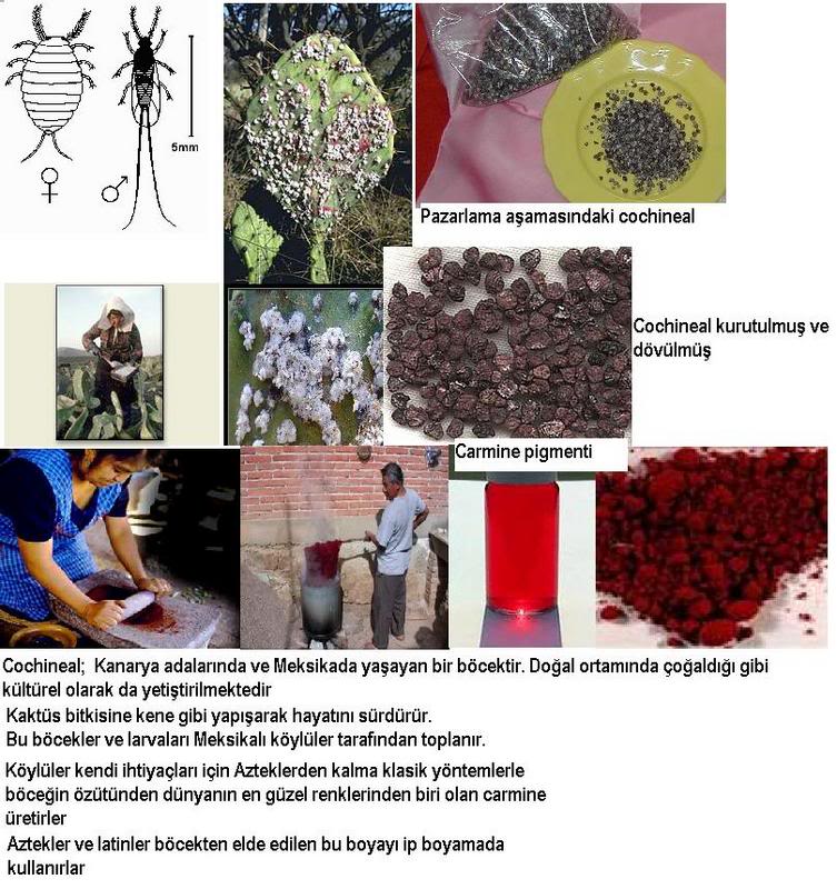 Kola Yapımında Kullanılan.. Coxi0