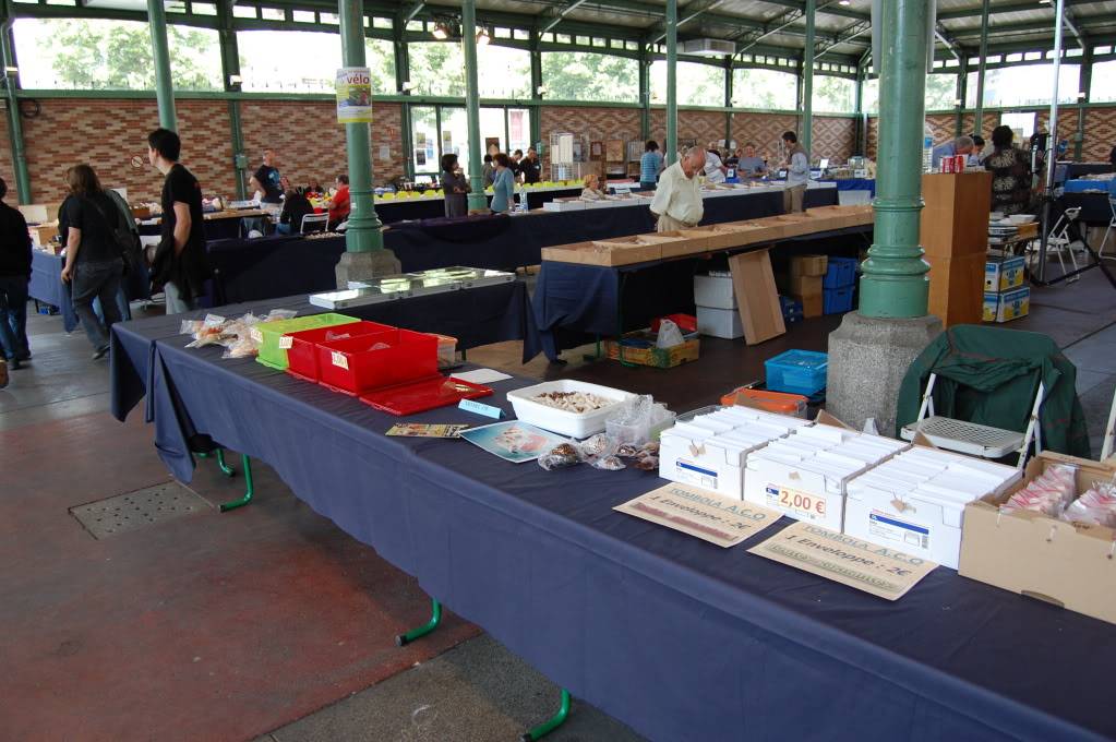 2011 Bourse de Rennes - 4 & 5 juin DSC_6765