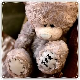 [Ava] Teddy Sad_bear_by_Tonven