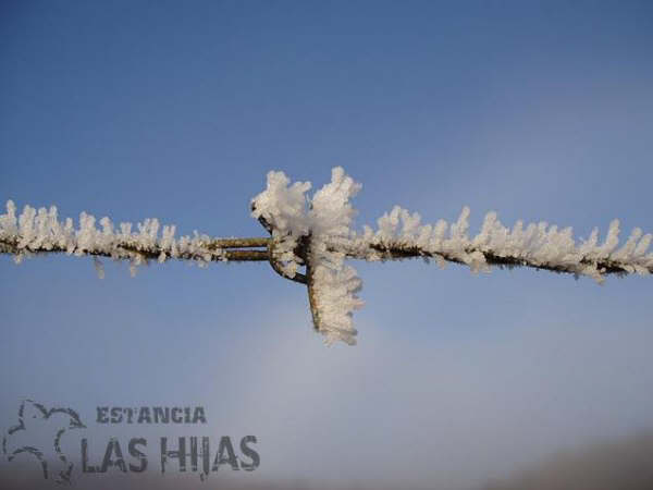 INVIERNO Alambre