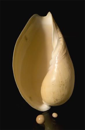 Gemas de origen orgánico: Las perlas Melo