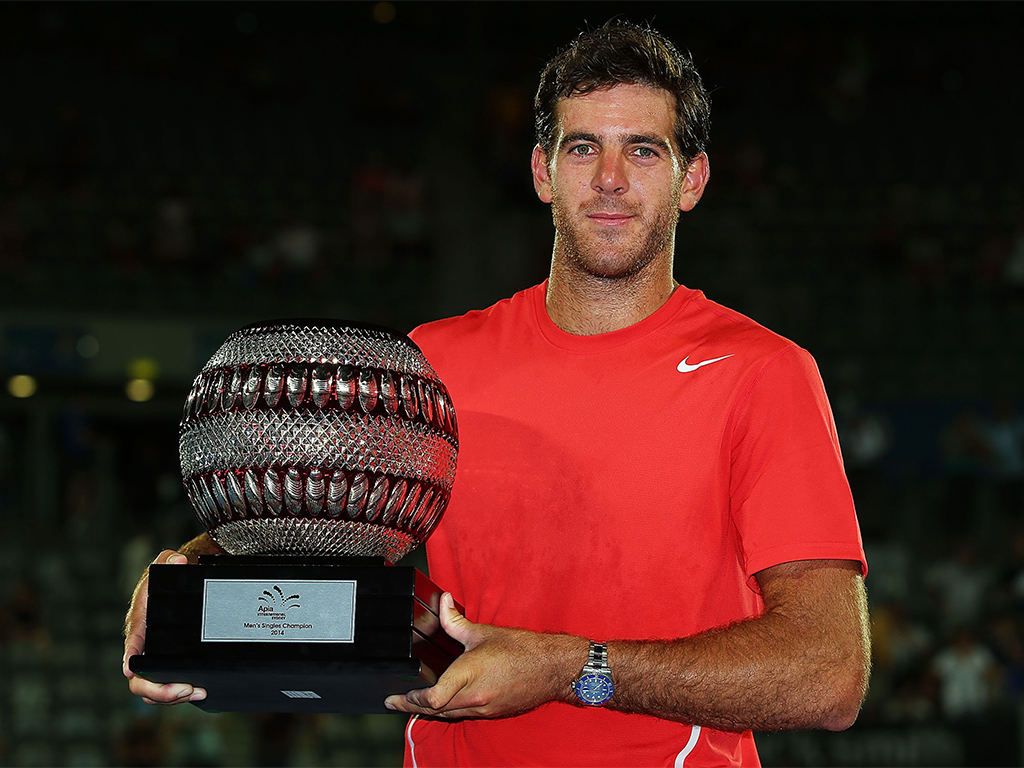 Torneos ganados. Delpo-Sydney-final-2_zps8b923d0d