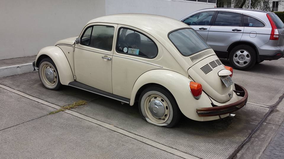 VW última edición abandonado. 12027570_861344370581528_2330945086471312469_n_zpsn5xlwxol_1