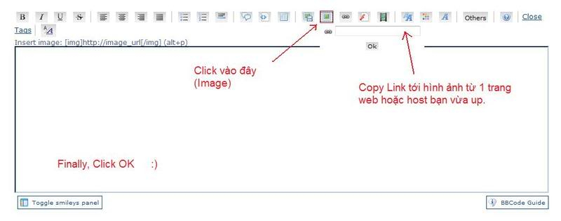 Hướng dẫn chèn link, hình, flash và video vào bài viết Demoimg