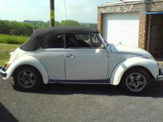 Tone & Linz 1971 Karmann Cabrio Herbs