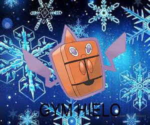 Lider del Gym Hielo Nieve