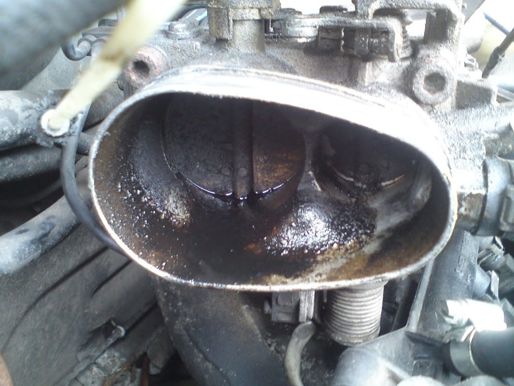 Oil in the throttle body... DSC01394