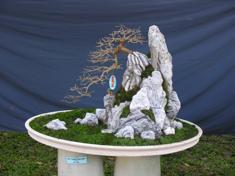 Bonsai anh Lansdcaping in Viet Nam Spring Flower Festival Show IBCLS21