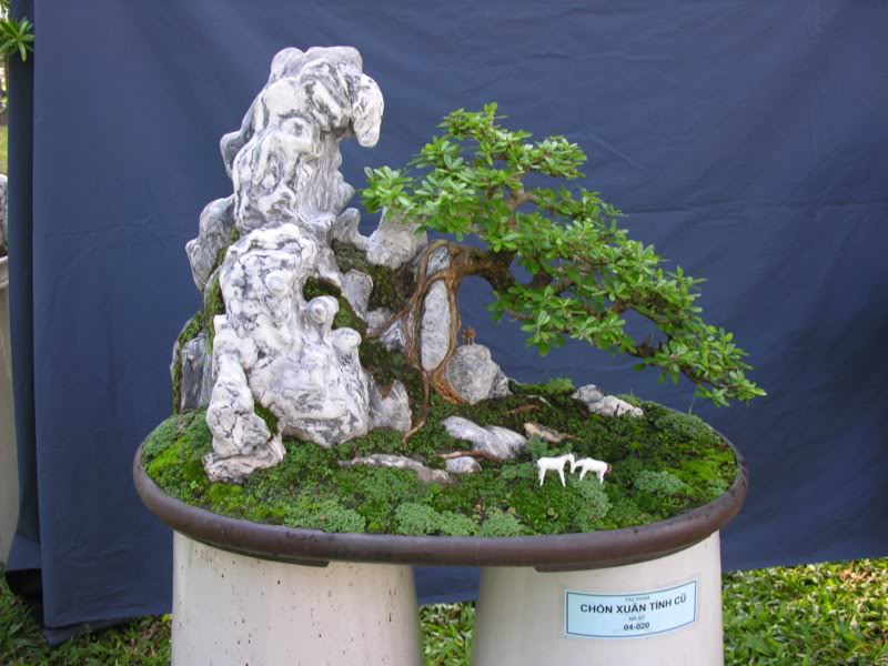 Bonsai anh Lansdcaping in Viet Nam Spring Flower Festival Show IBCLS28