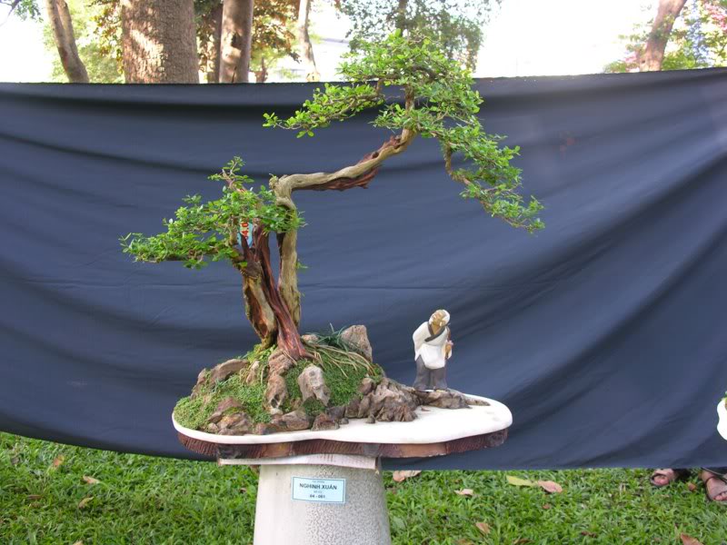 Bonsai anh Lansdcaping in Viet Nam Spring Flower Festival Show IBCLS32