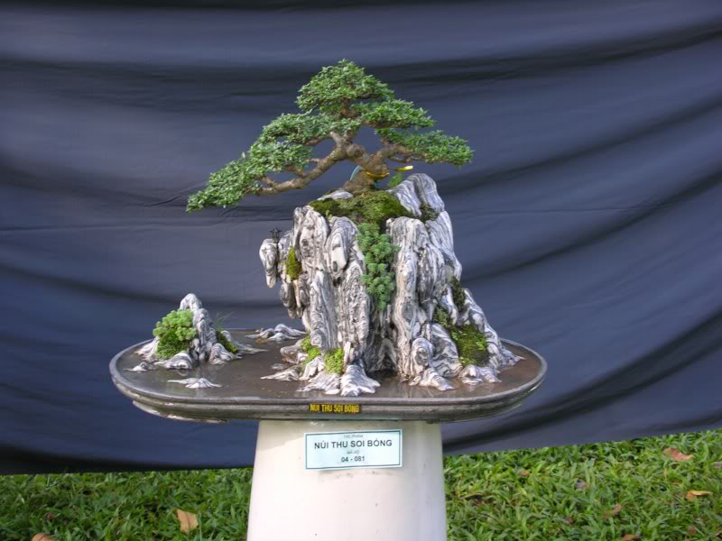 Bonsai anh Lansdcaping in Viet Nam Spring Flower Festival Show IBCLS34