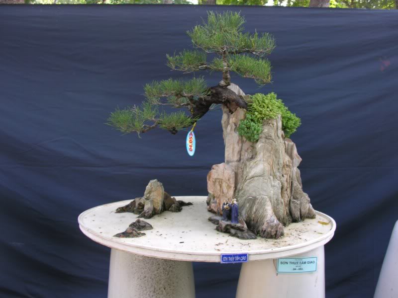 Bonsai anh Lansdcaping in Viet Nam Spring Flower Festival Show IBCLS40