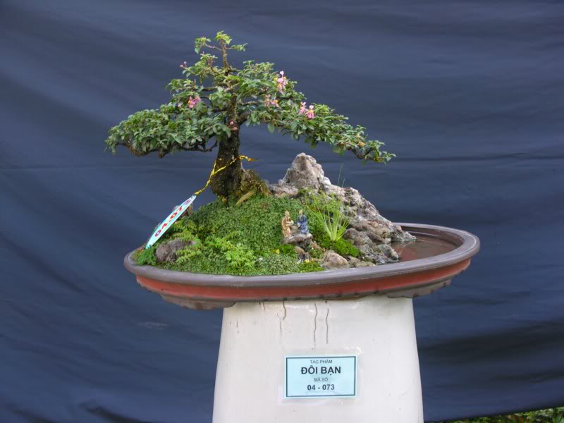 Bonsai anh Lansdcaping in Viet Nam Spring Flower Festival Show IBCLS45