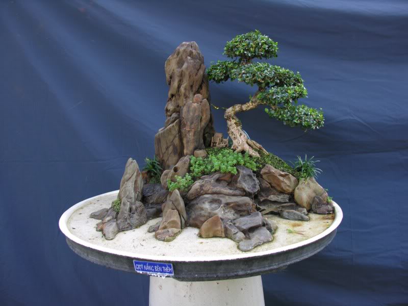 Bonsai anh Lansdcaping in Viet Nam Spring Flower Festival Show IBCLS48