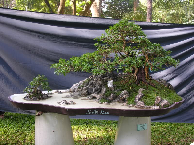Bonsai anh Lansdcaping in Viet Nam Spring Flower Festival Show IBCLS60