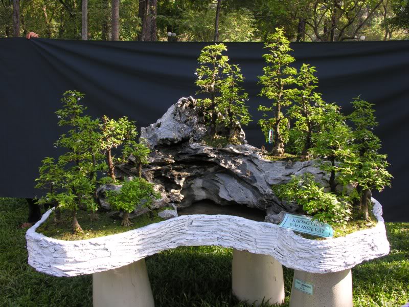 Bonsai anh Lansdcaping in Viet Nam Spring Flower Festival Show IBCLS69