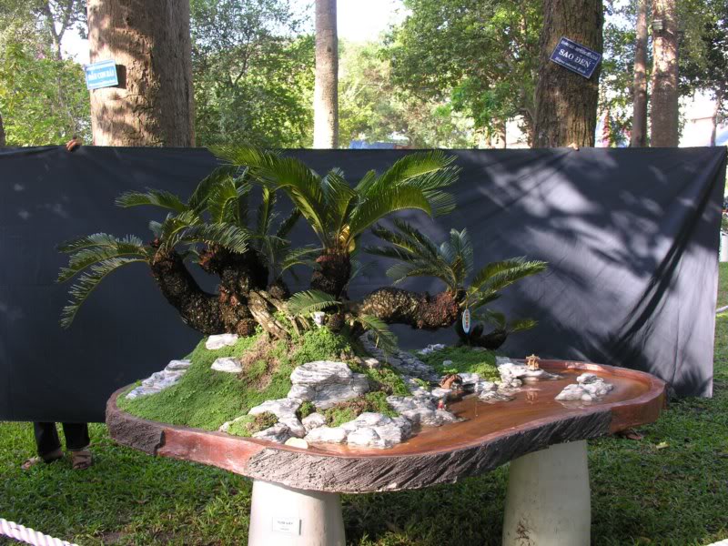 Bonsai anh Lansdcaping in Viet Nam Spring Flower Festival Show IBCLS8