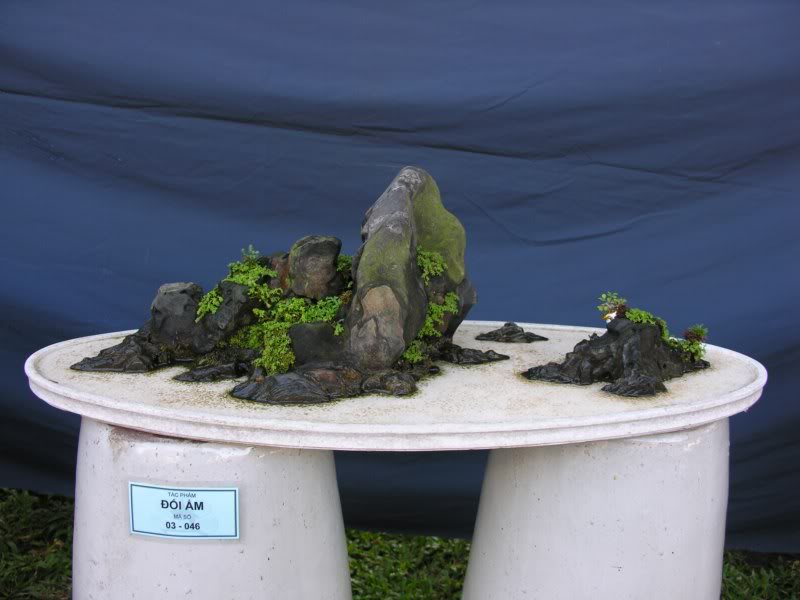 Bonsai anh Lansdcaping in Viet Nam Spring Flower Festival Show IBCm13