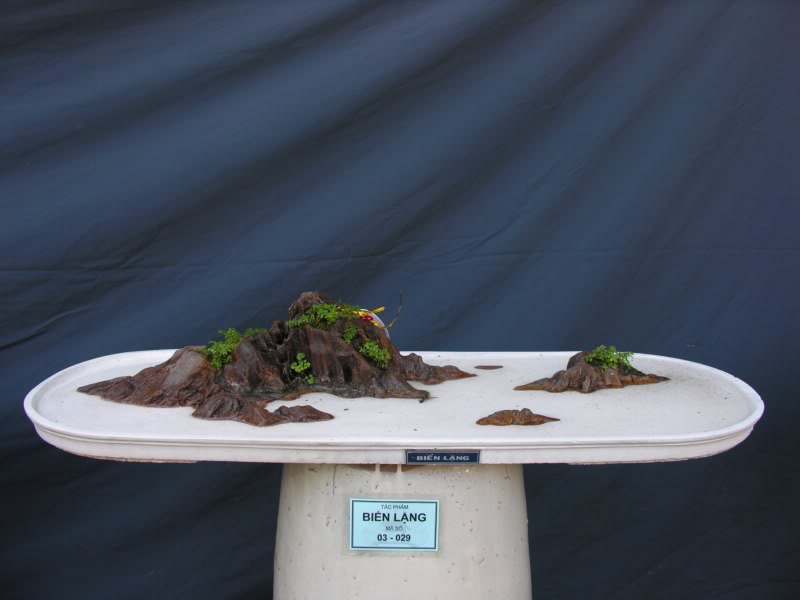 Bonsai anh Lansdcaping in Viet Nam Spring Flower Festival Show IBCm14