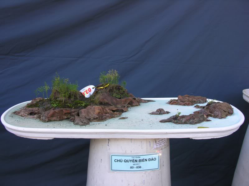 Bonsai anh Lansdcaping in Viet Nam Spring Flower Festival Show IBCm15