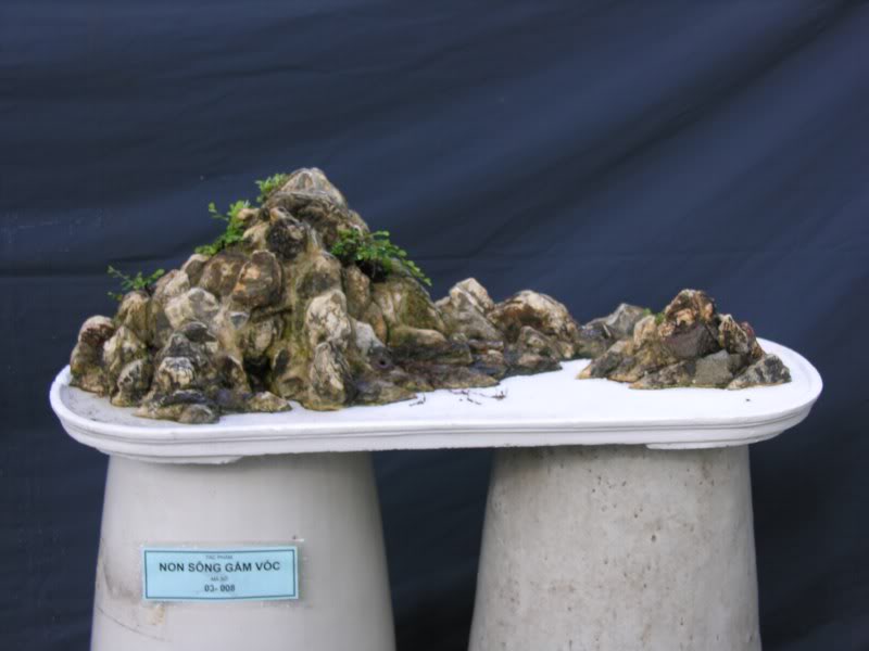 Bonsai anh Lansdcaping in Viet Nam Spring Flower Festival Show IBCm20