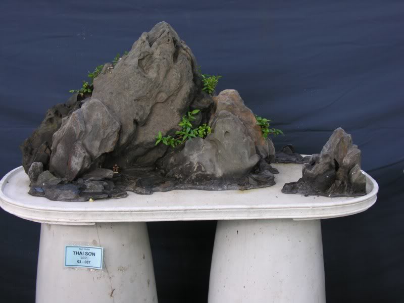 Bonsai anh Lansdcaping in Viet Nam Spring Flower Festival Show IBCm22