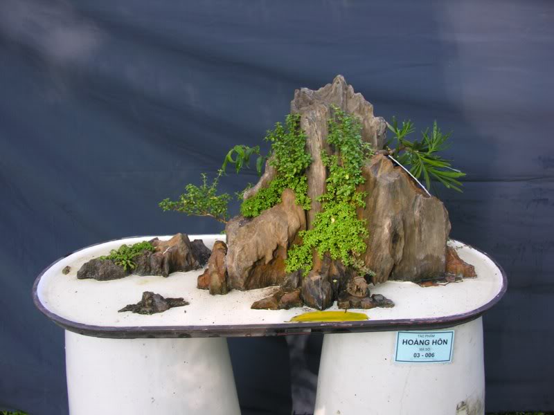 Bonsai anh Lansdcaping in Viet Nam Spring Flower Festival Show IBCm25